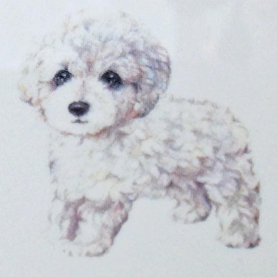 フードボウル 犬 トイプードル 茶色 ホワイト ブラック 日本製 わんコレ 餌 エサ入れ プレゼント ペットグッズ ペット用品 食器 水飲み アニマル Fb4 Podle Lechien 通販 Yahoo ショッピング