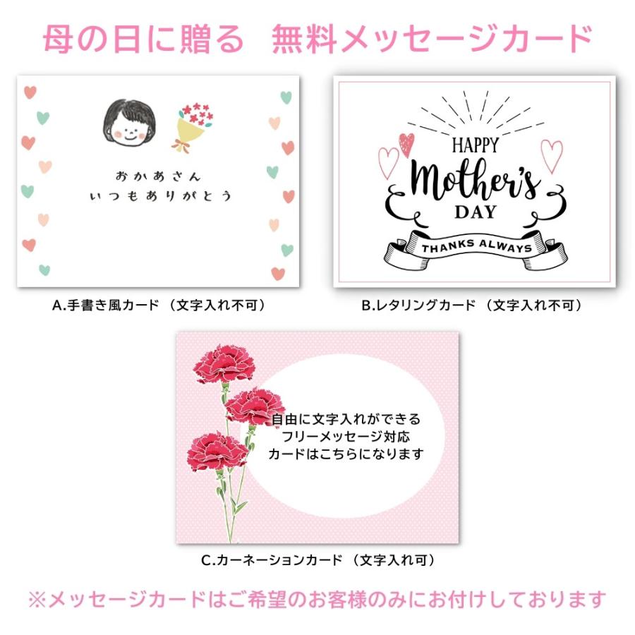 バルーンギフト バルーン電報 母の日 誕生日 カーネーションアニマル 選べるバルーン電報 おしゃれ かわいい H1 003s Lechien 通販 Yahoo ショッピング