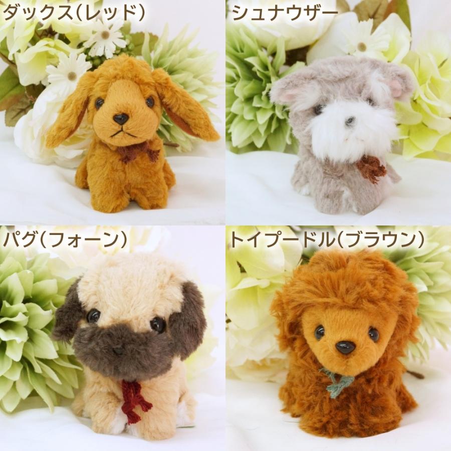 犬のぬいぐるみ プチお座りドッグ １２犬種セット お座りしたプチぬいぐるみのセットです 卒業式 プレゼント ギフト お返し ルシアン アニマル 動物 犬グッズ S 1 Lechien 通販 Yahoo ショッピング