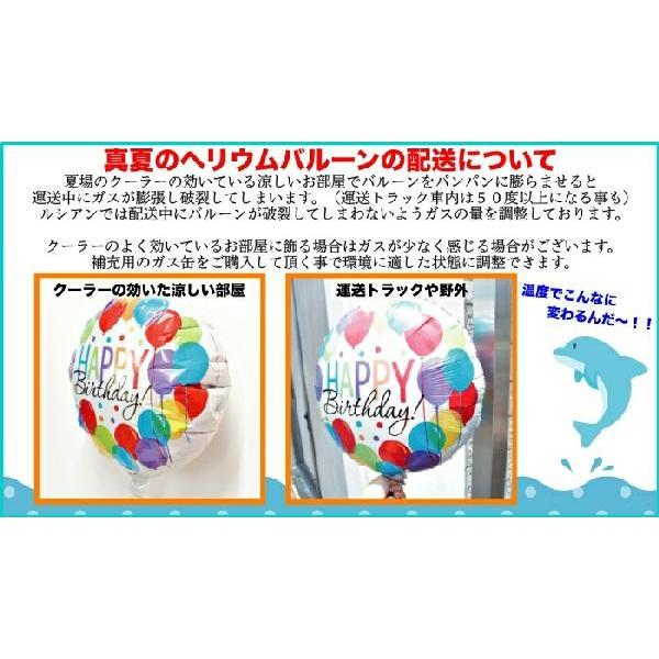 バルーン 誕生日 ヘリウムガス入り 犬好き ネコ好きさんに贈るブーケ３点セット 140 バースデー プレゼント パーティーグッズ 電報 サプライズ S Lechien 通販 Yahoo ショッピング