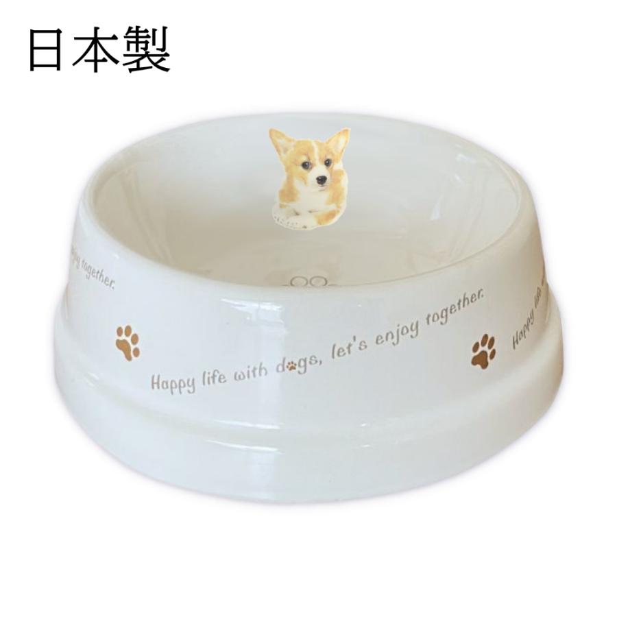 フードボウル 犬 コーギー 日本製 陶器 食べやすい 餌 エサ 餌入れ