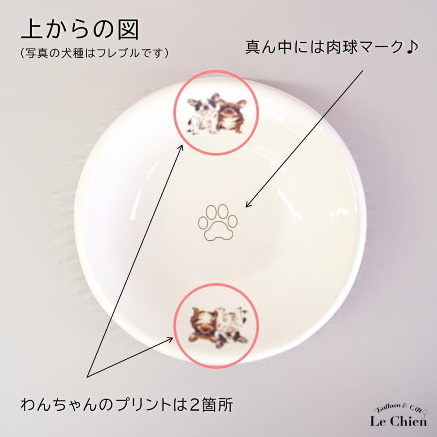 フードボウル 犬 コーギー 日本製 陶器 食べやすい 餌 エサ 餌入れ