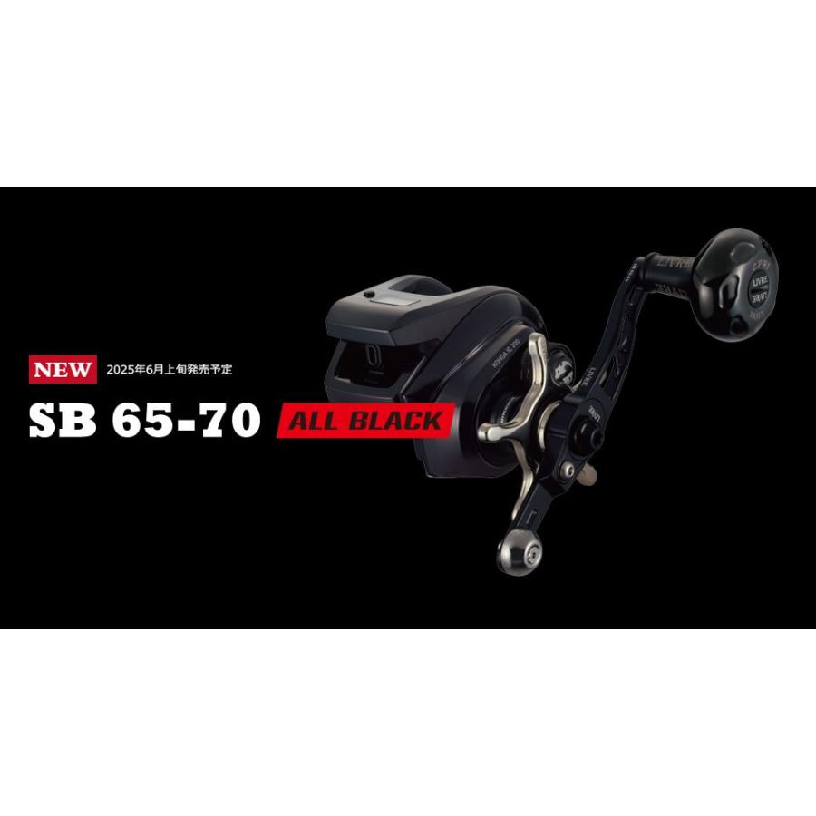 Bプロジェクト SB65-70 リブレ オールブラック LIVRE リブレハンドル