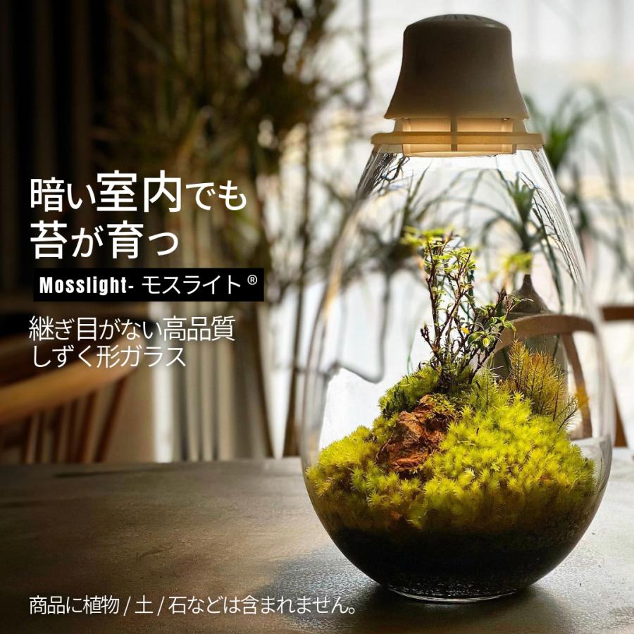 LED照明付テラリウム Mosslight モスライト 植物育成ライト 常夜灯にも