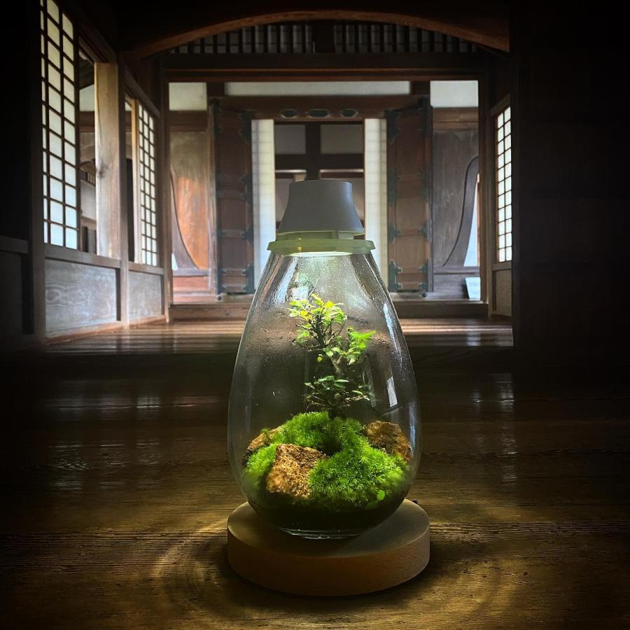 未使用】Mossarium Light LED Terrarium テラリウム Amazon.co.jp