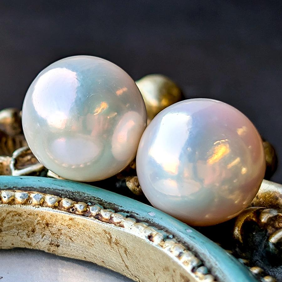 訳あり超特価 特大 14mm 淡水真珠 ピアス イヤリング 希少な超特大