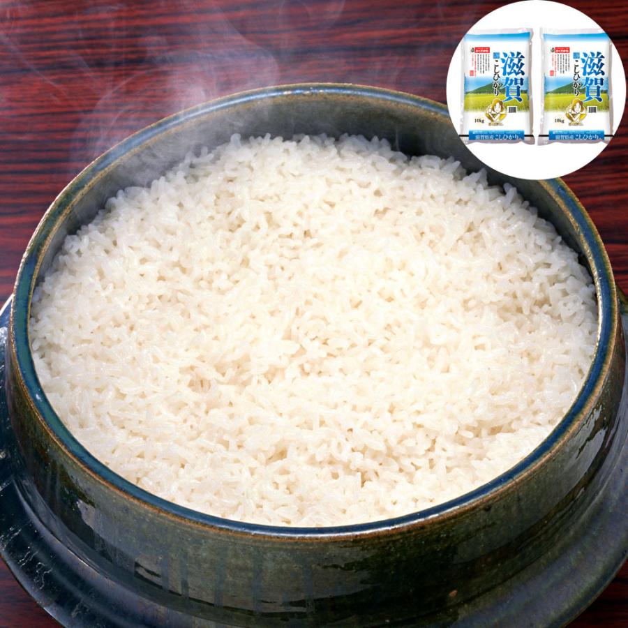 滋賀県産 こしひかり 10kg×2 滋賀県産