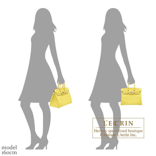 Birkin エルメス バーキン25 ライム クロコダイル アリゲーターマット