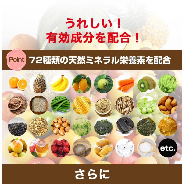 レダ レダの酵素121℃極上プレミアム 美容 代謝 腸活 整腸 耐熱 レダ レダの酵素121℃極上プレミアム 美容 代謝 腸活 整腸 耐熱