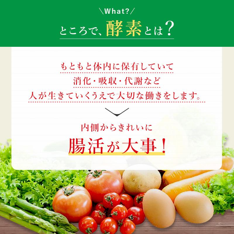 レダ（Leda） レダの酵素121℃極上プレミアム 美容 代謝 腸活 整腸 耐熱