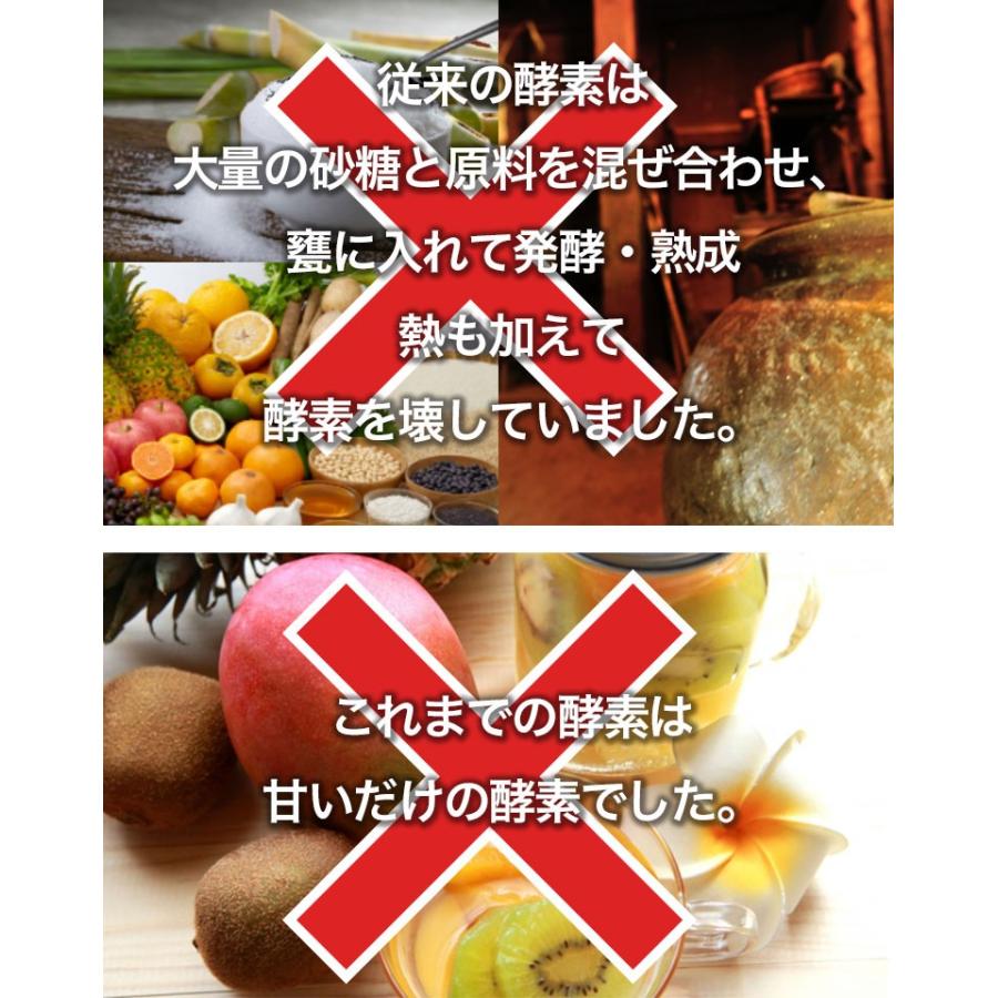 レダ レダの酵素121℃極上プレミアム 美容 代謝 腸活 整腸 耐熱 レダ レダの酵素121℃極上プレミアム 美容 代謝 腸活 整腸 耐熱