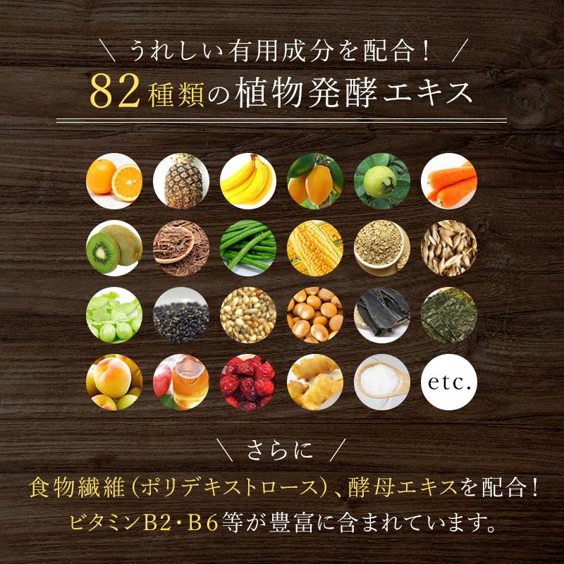 レダ（Leda） レダの酵素121℃極上プレミアム 美容 代謝 腸活 整腸 耐熱