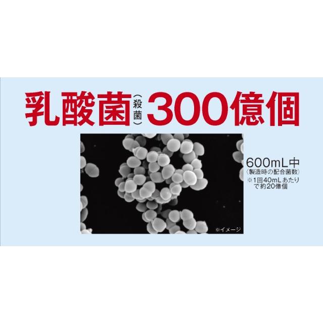 レダ レダの酵素121℃ ナチュラルスリムドゥ40+ 美容 美肌 菌活 レダ レダの酵素121℃ ナチュラルスリムドゥ40+ 美容 美肌 菌活