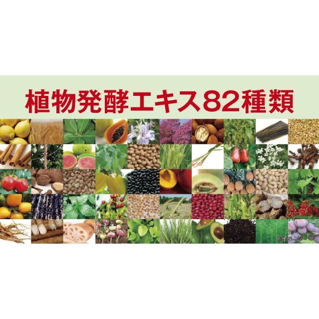 レダ レダの酵素121℃ ナチュラルスリムドゥ40+ 美容 美肌 菌活 レダ レダの酵素121℃ ナチュラルスリムドゥ40+ 美容 美肌 菌活