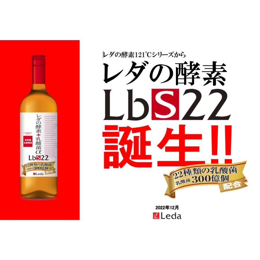 レダの酵素+乳酸菌α LbS22　栄養機能食品 乳酸菌 美容 代謝 腸活  耐熱耐酸低分子 有用菌生産物質 植物発酵エキス ブラックジンジャー｜leda-shop｜02