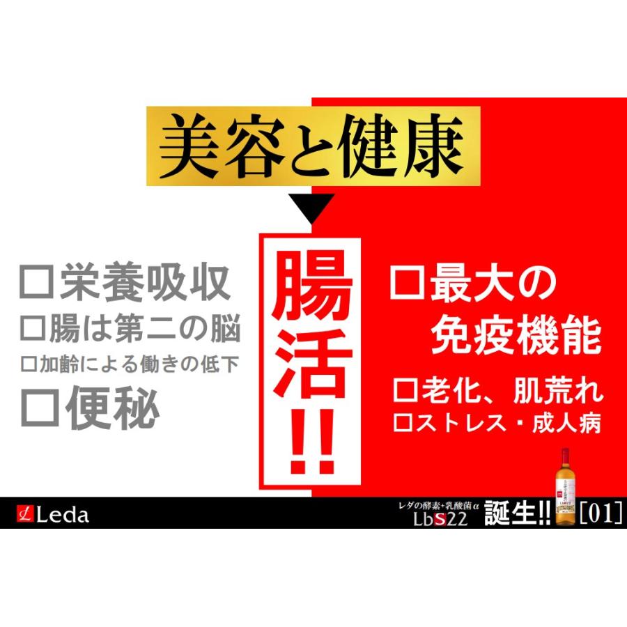 レダの酵素+乳酸菌α LbS22　栄養機能食品 乳酸菌 美容 代謝 腸活  耐熱耐酸低分子 有用菌生産物質 植物発酵エキス ブラックジンジャー｜leda-shop｜03