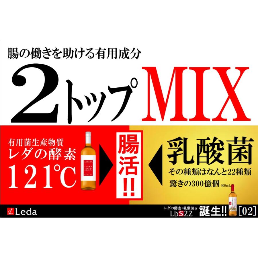 レダの酵素+乳酸菌α LbS22　栄養機能食品 乳酸菌 美容 代謝 腸活  耐熱耐酸低分子 有用菌生産物質 植物発酵エキス ブラックジンジャー｜leda-shop｜04