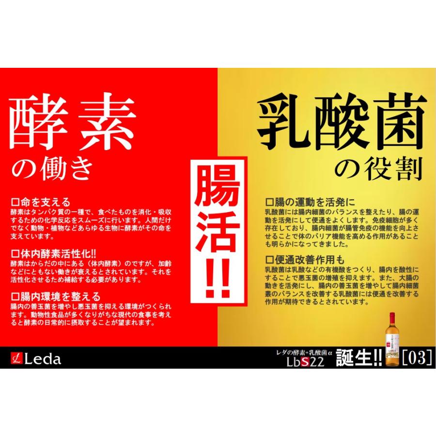 レダの酵素+乳酸菌α LbS22　栄養機能食品 乳酸菌 美容 代謝 腸活  耐熱耐酸低分子 有用菌生産物質 植物発酵エキス ブラックジンジャー｜leda-shop｜05