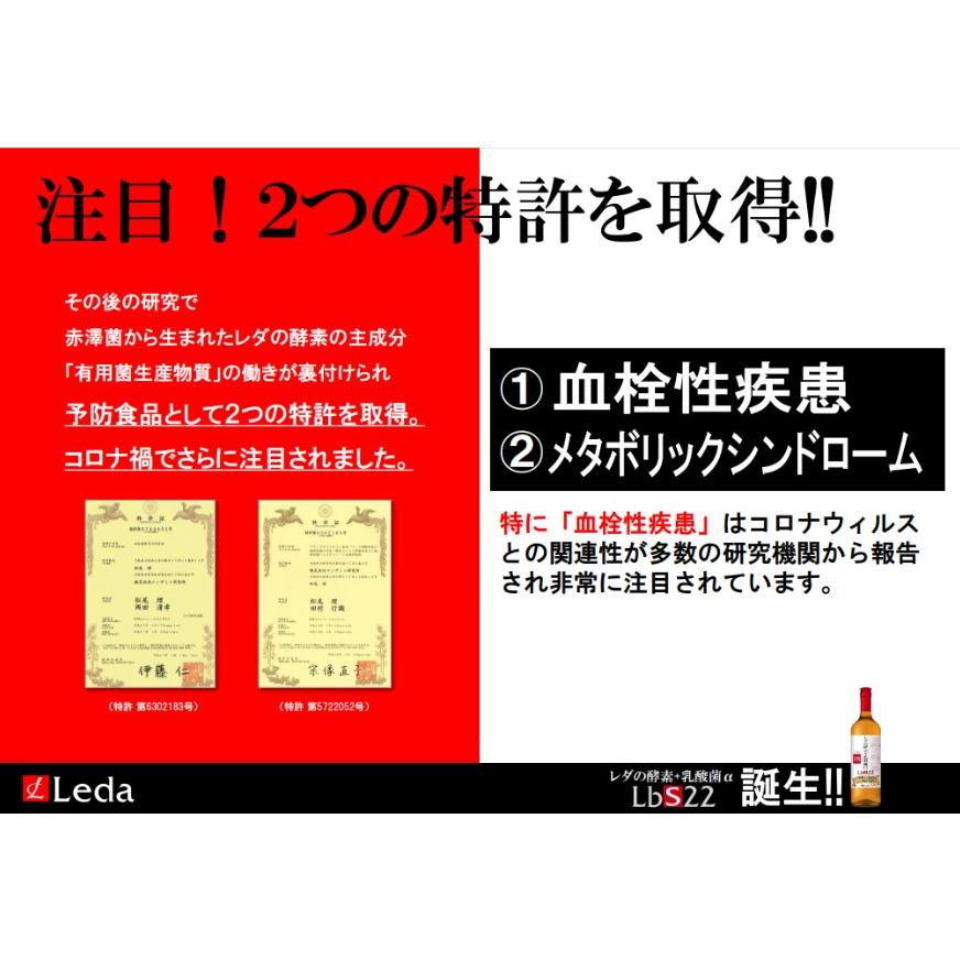 レダの酵素+乳酸菌α LbS22　栄養機能食品 乳酸菌 美容 代謝 腸活  耐熱耐酸低分子 有用菌生産物質 植物発酵エキス ブラックジンジャー｜leda-shop｜09