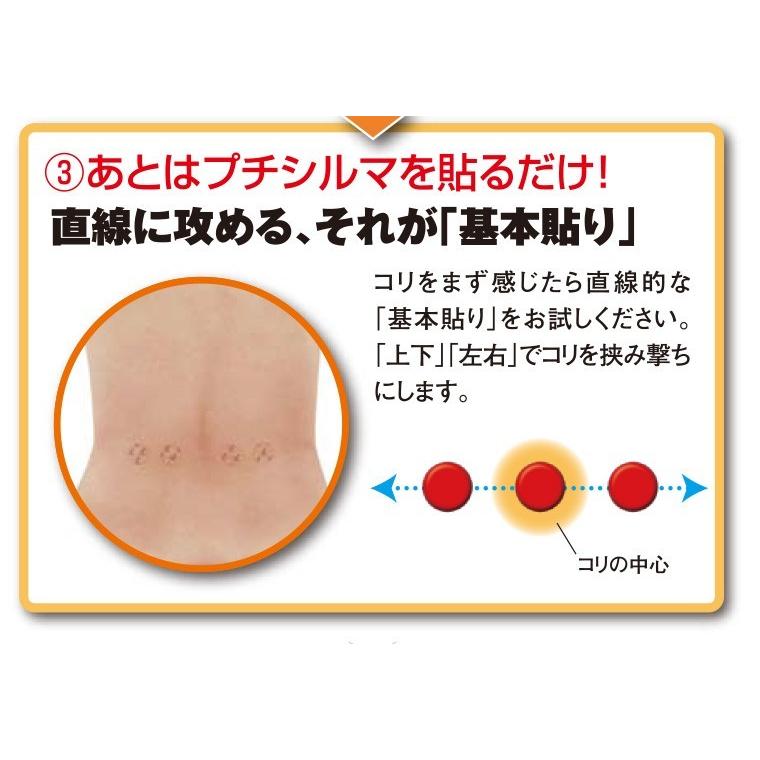 レダ ゲルマニウム粒 一般医療機器 プチシルマ スーパーDX大粒 レダ ゲルマニウム粒 一般医療機器 プチシルマ スーパーDX大粒