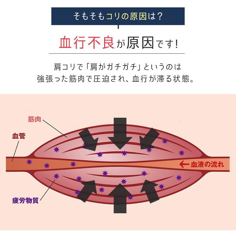 Dr.プチシルマ LSi14 DX5.5mm/10粒 肩こり 首コリ 腰痛 頭痛 ヒジ