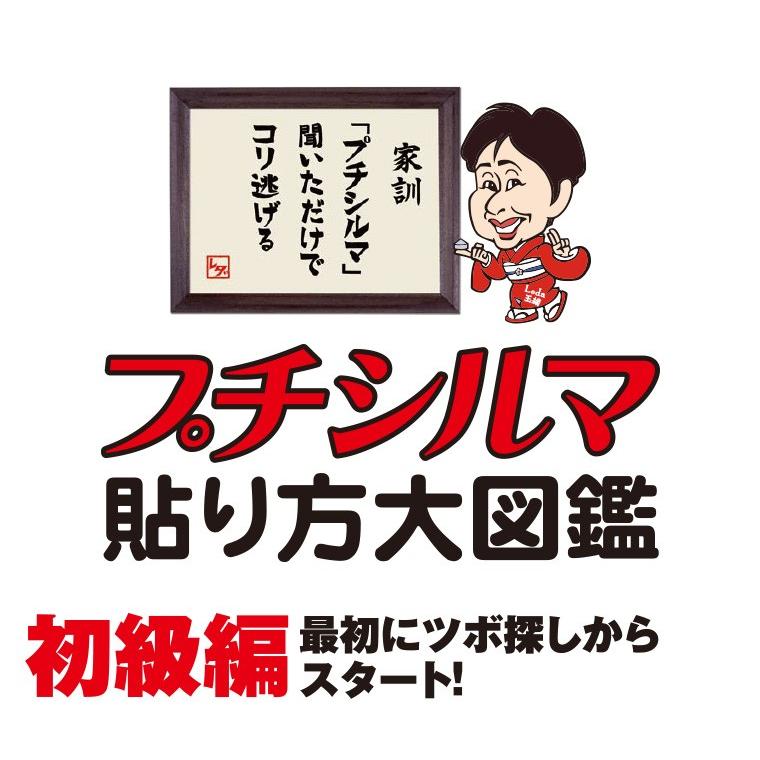 Dr.プチシルマ LSi14 DX5.5mm/10粒 肩こり 首コリ 腰痛 頭痛 ヒジ
