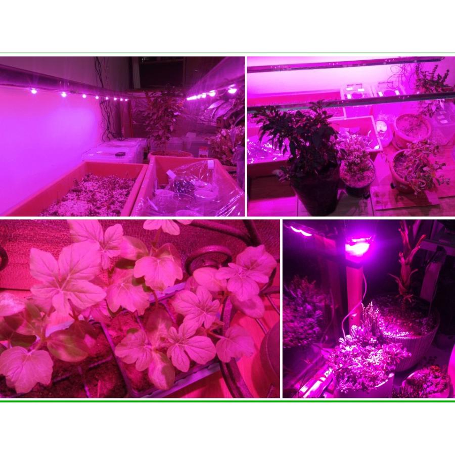 交流 AC100V 30W COB ピンク色 フルスペクトル 水耕栽培・植物育成に!! ハイパワーLED LEDドライバ内蔵で簡単点灯LED