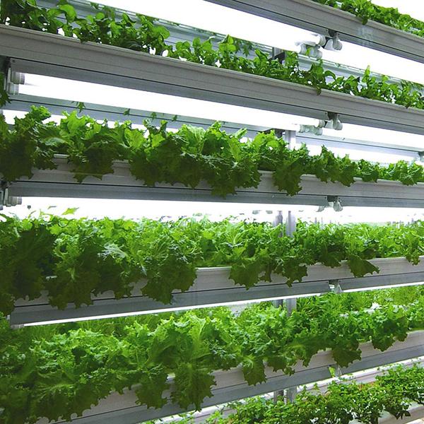 20型1BUスリムMD】20W型 スリム 防水 防雨 防湿 20W形 6500k 180度 LED