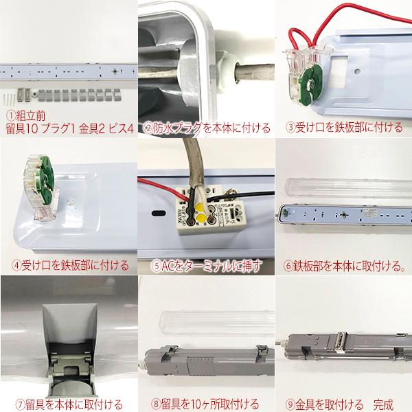 露蛍　札付きポットごとメルカリ便ファームパルクさん苗 パルスノー札付きポットごとメルカリ便ファームパルクさん苗