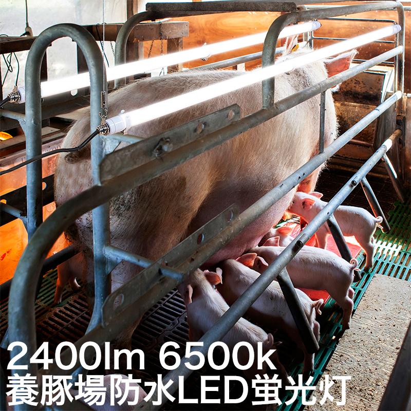 40型BSRMD】防水 LED蛍光灯 連結式 40W形 40W 40型 40形 昼光色 駐輪場