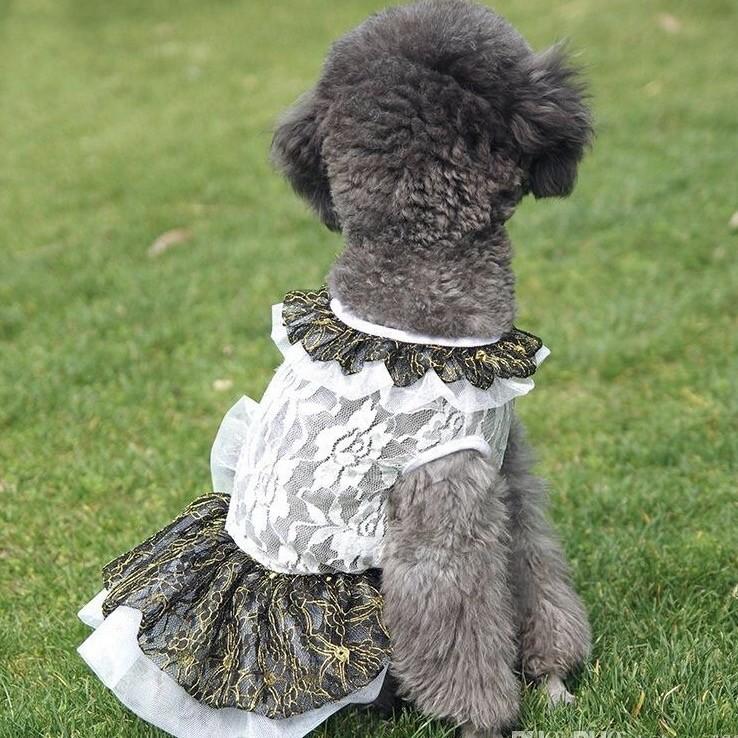 訳ありアウトレット特価 首元フリフリ レース 素材 リボン付き ワンピース ドレス 女の子 犬服 ドッグウェア 送料無料 小型犬 パピー Qk16ss Cannashop 通販 Yahoo ショッピング