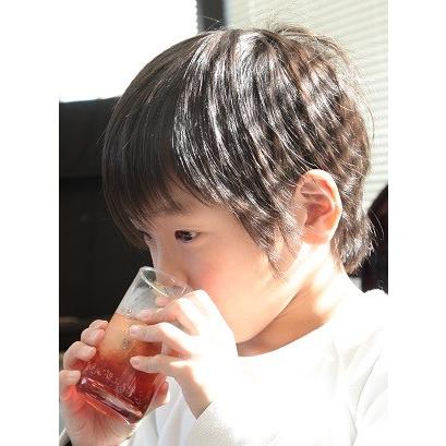 フルーツハーブ さんざしドリンク 900mL 3本セット 《お楽しみ