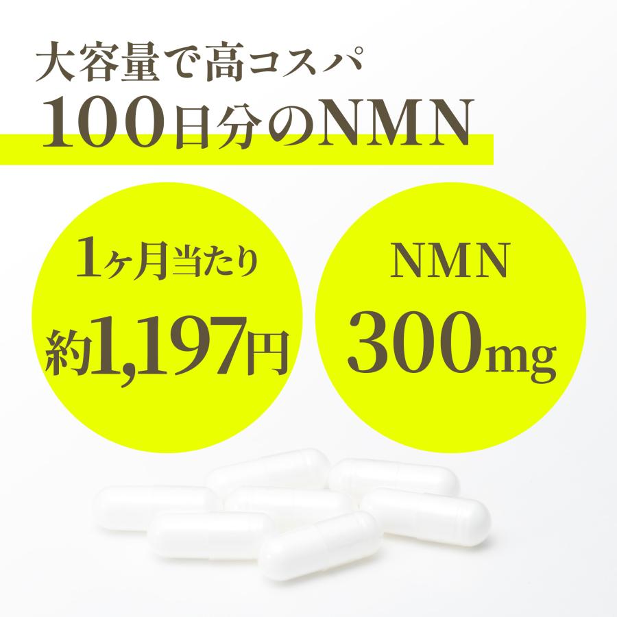 Nature In NMN サプリ 30000mg 大容量 高濃度 日本製 100日分 300mg/1