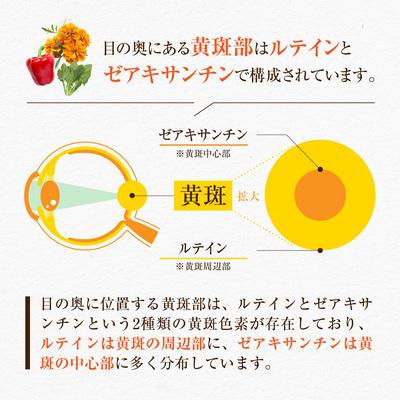 Nature In ルテイン 高濃度 90日分 ルテイン2700mg+ゼアキサンチン