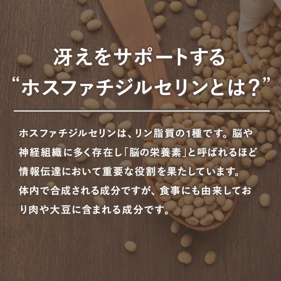 Nature In ホスファチジルセリン 100mg 60粒入 2ヶ月分 ハードカプセル