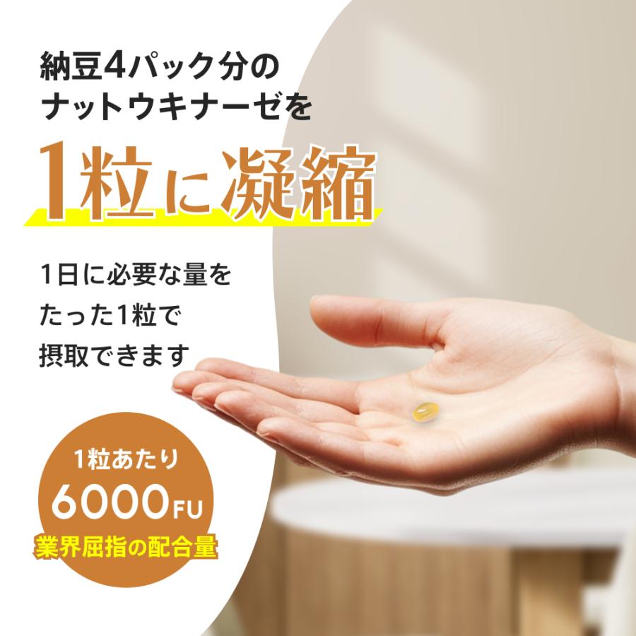 Nature In ナットウキナーゼ サプリ k2除去 6000FU 60日分（60粒入