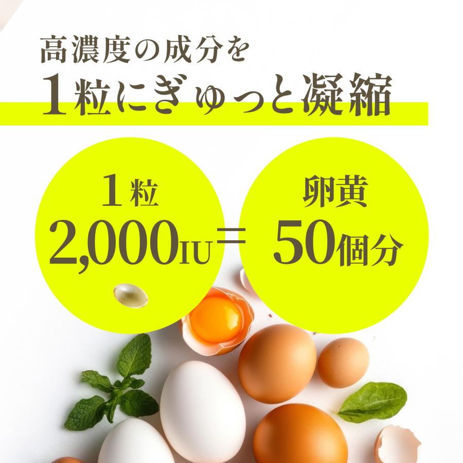 Nature In ビタミンD3 サプリ120日分 2000IU/粒 DHA EPA フィッシュ