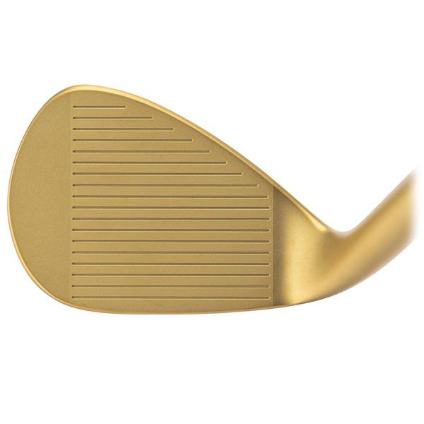 Dolphin Wedge キャスコ ドルフィン DW123 IPゴールド DG95 ウェッジ