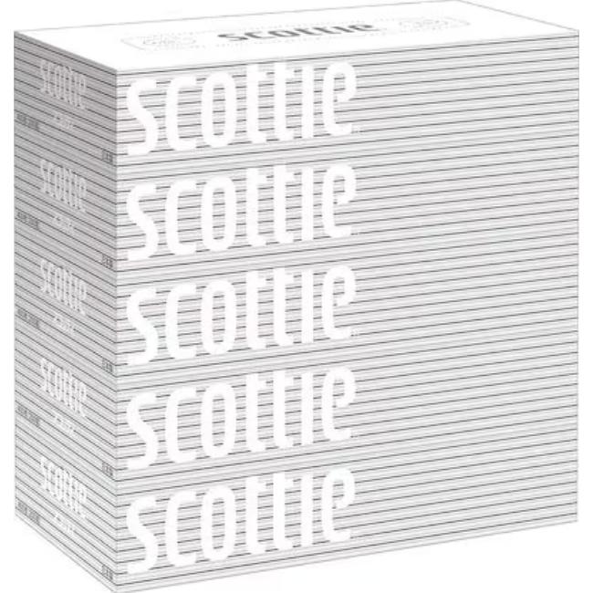 スコッティ (SCOTTIE) ティッシュペーパー 200組 5箱×12パック(60箱) ティシュペーパー まとめ買い ケース販売 ボックスティッシュ 日用品（Yahoo!・Le futur）