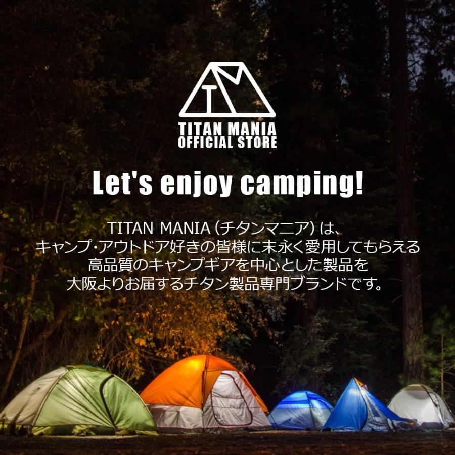 TITAN MANIA チタンマニア ペグ チタン製 V字型 穴なし 16cm 6本