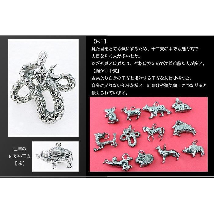チタン ペンダントトップ へび T174 蛇 巳年 十二支 干支 ネックレス ペンダントヘッド チャーム 金属アレルギー対応 レジエ レジェ leger | leger | 01