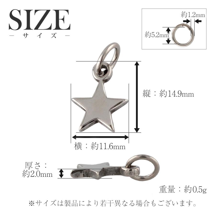 チタン ペンダントトップ スター T23 星 ネックレス ペンダントヘッド チャーム 金属アレルギー対応 レジエ レジェ leger | leger | 02