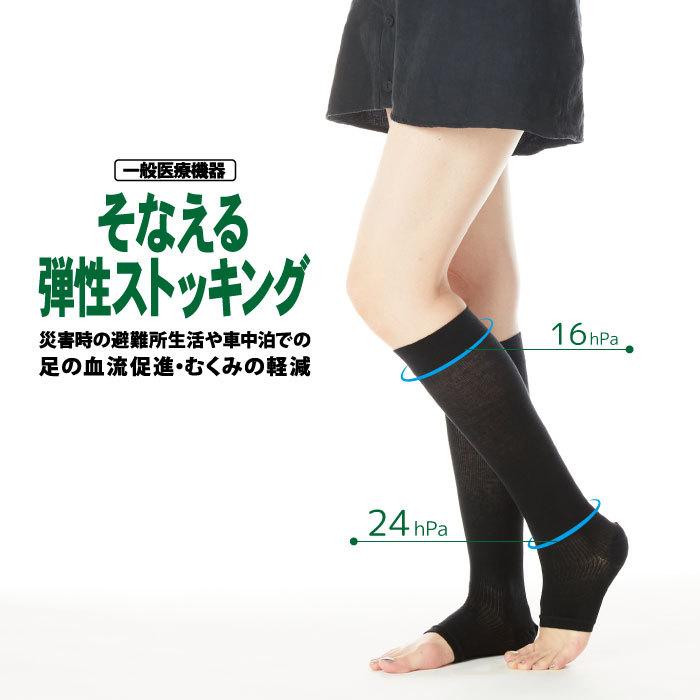 REGART（レガルト） メール便4点まで そなえる 弾性ストッキング 一般