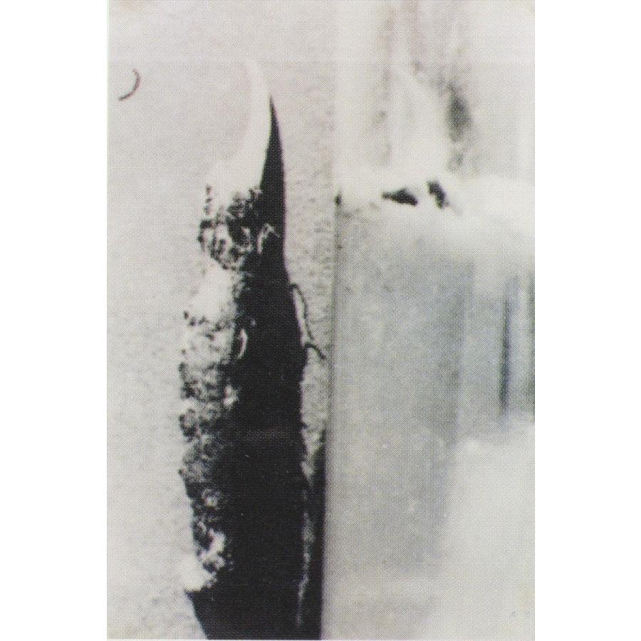 Leihoh 冬虫夏草 漢方 効能 男性機能 滋養強壮 ED 勃起不全 サプリ 免疫力アップ 漢方 効能 冬虫夏草