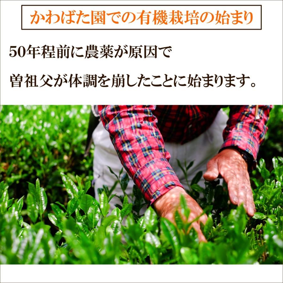 くき茶 100g 農薬不使用 高級茶 生茶 やぶきた かわばた園 静岡産 | かわばた園 | 01