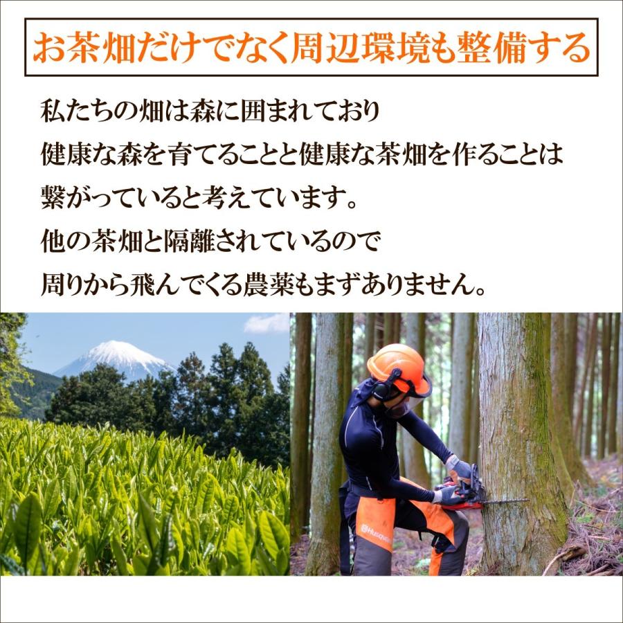くき茶 100g 農薬不使用 高級茶 生茶 やぶきた かわばた園 静岡産 | かわばた園 | 03