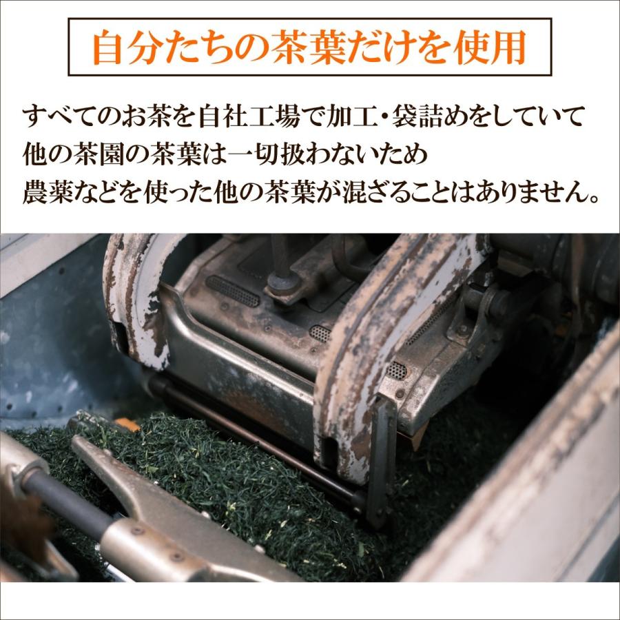 煎茶 100g 農薬不使用 高級茶 生茶 やぶきた かわばた園 静岡産 | かわばた園 | 02