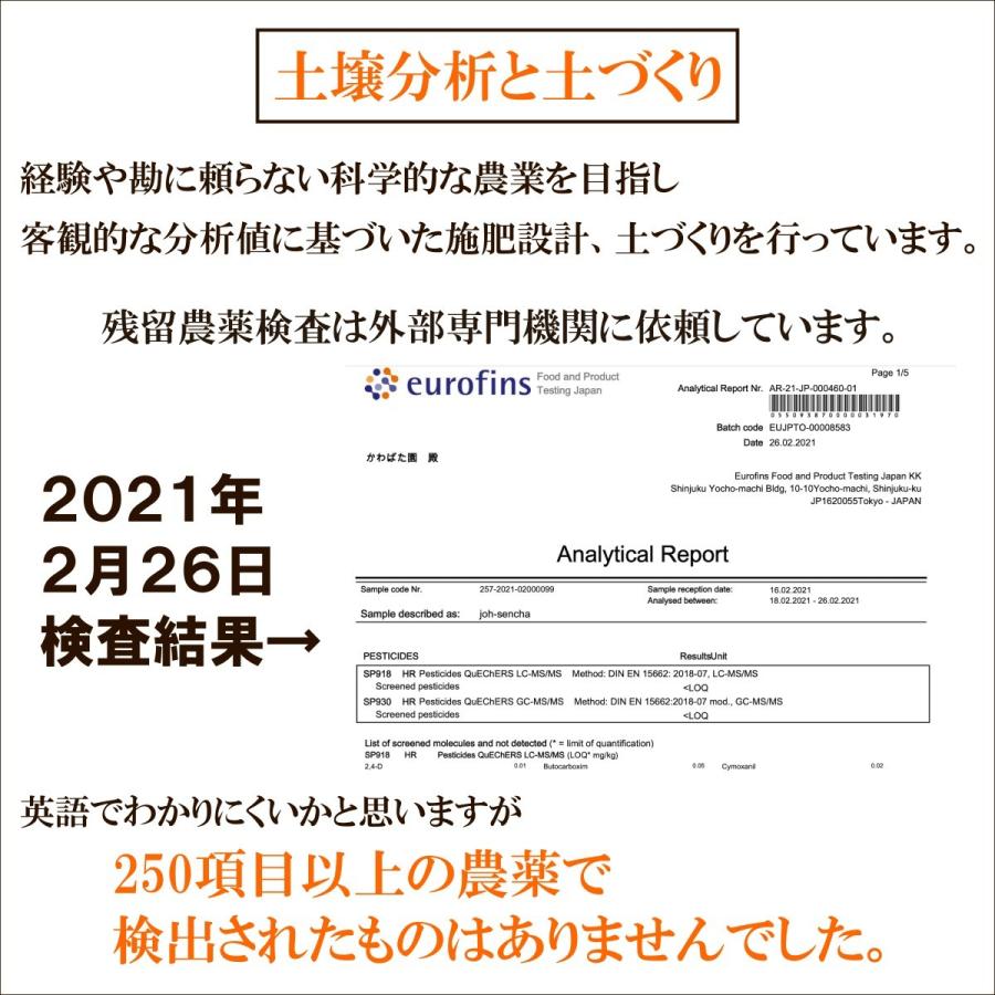 煎茶 100g 農薬不使用 高級茶 生茶 やぶきた かわばた園 静岡産 | かわばた園 | 04