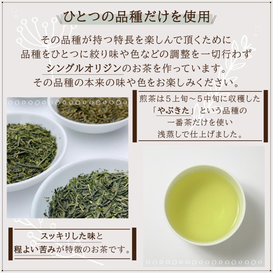 煎茶 100g 農薬不使用 高級茶 生茶 やぶきた かわばた園 静岡産 | かわばた園 | 06