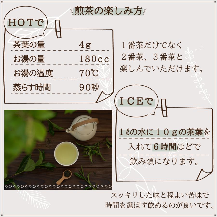 煎茶 100g 農薬不使用 高級茶 生茶 やぶきた かわばた園 静岡産 | かわばた園 | 07
